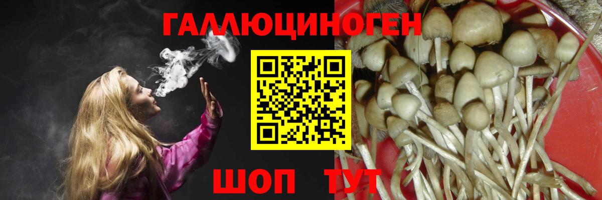 Галлюциногенные грибы ЛСД Похвистнево